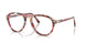 1220 - Multicolor