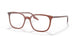 8171 - Brown