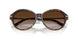 80153B - Tortoise - Brown Gradient