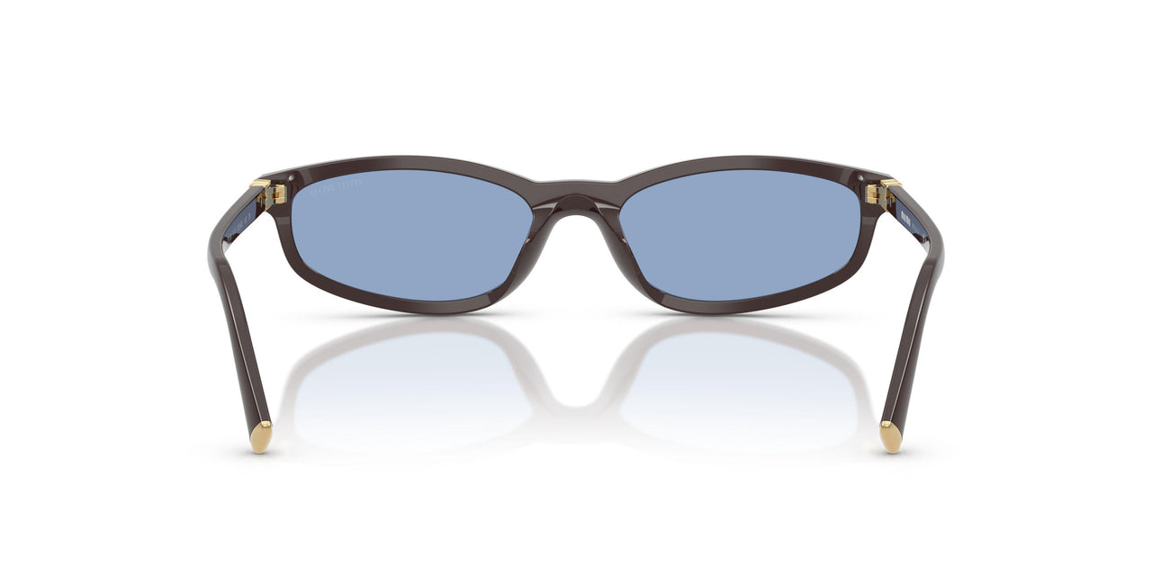 22C60O - Brown - Light Blue