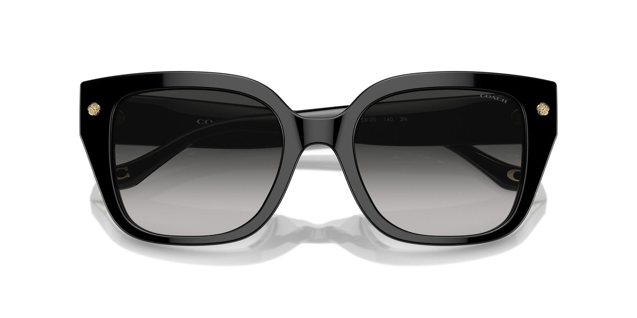 50023C - Black - Grey Gradient