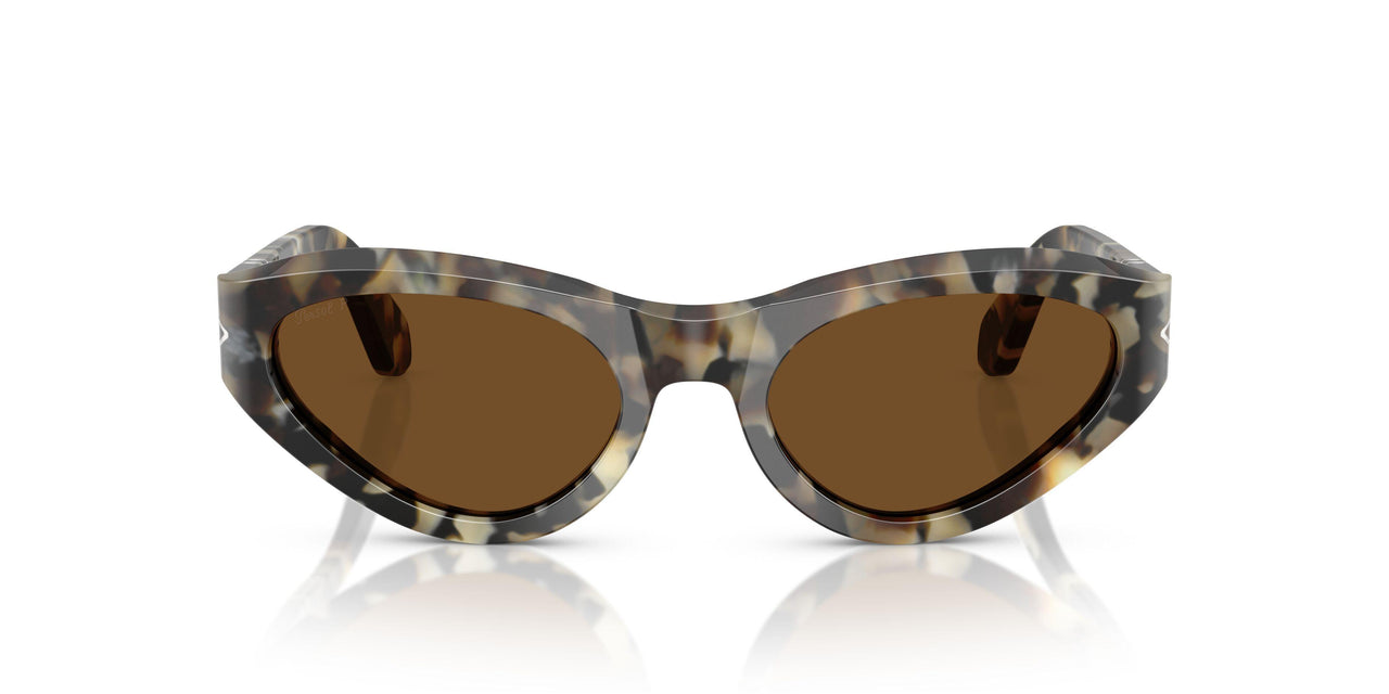 107157 - Tortoise - Brown Polar