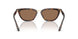 612473 - Tortoise - Dark Brown