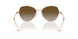 5152T5 - Gold - Grey Gradient Brown Polar