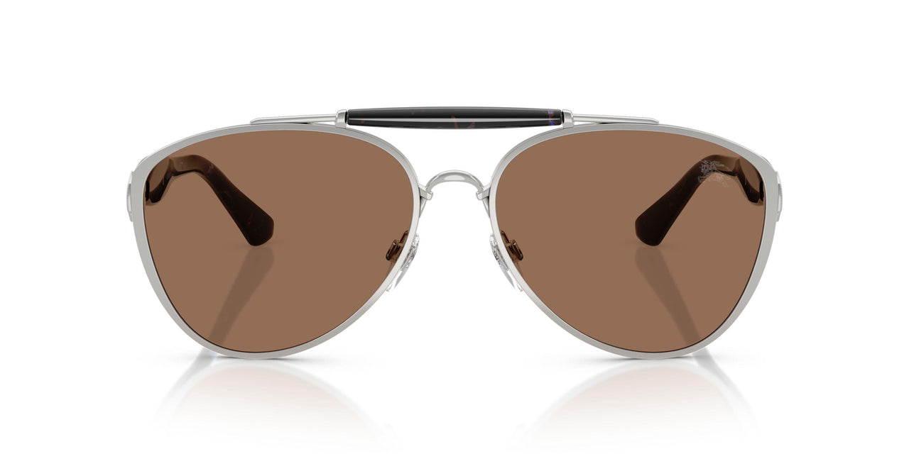 100573 - Silver - Dark Brown