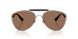 100573 - Silver - Dark Brown