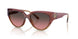 325611 - Pink - Brown Rose Gradient