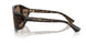 502/73 - Tortoise - Dark Brown
