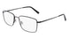 Flexon H6081 N Eyeglasses