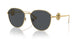 100287 - Gold - Dark Grey