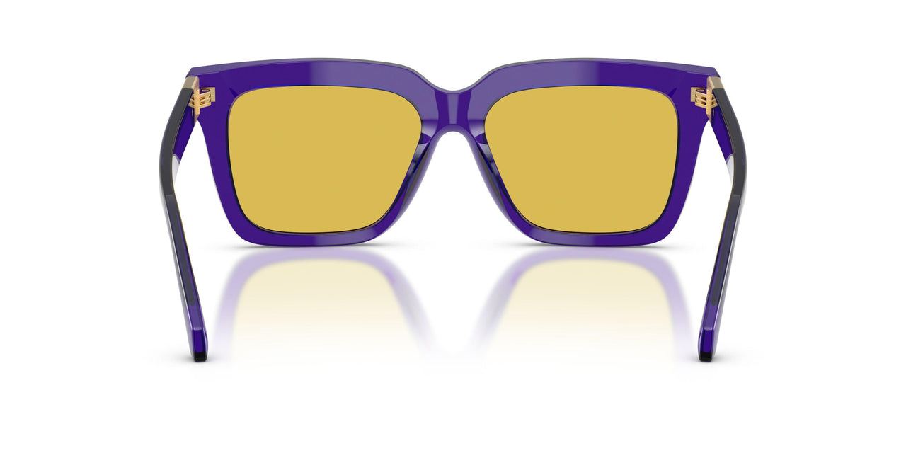 554585 - Violet - Yellow