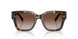 198113 - Tortoise - Brown