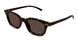 002 - Havana - Brown