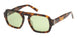 ABERCROMBIE & FITCH 00028 Sunglasses