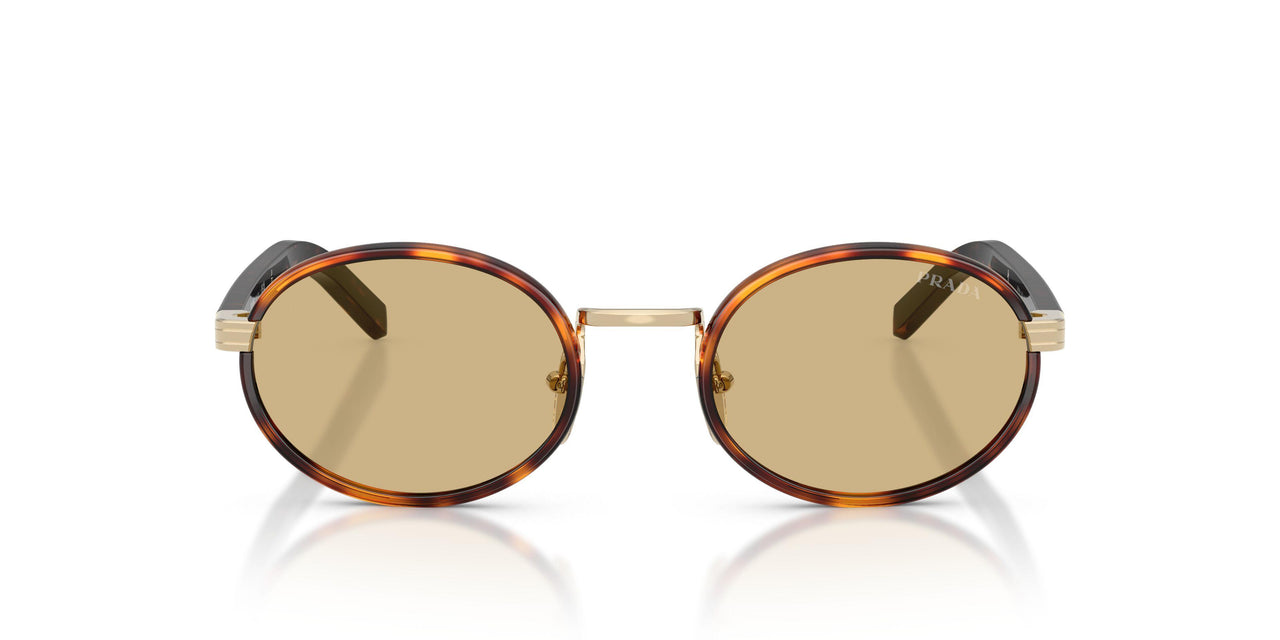 21E10R - Tortoise - Lente Camomilla Bio