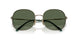 51389A - Brown - Dark Green Polar