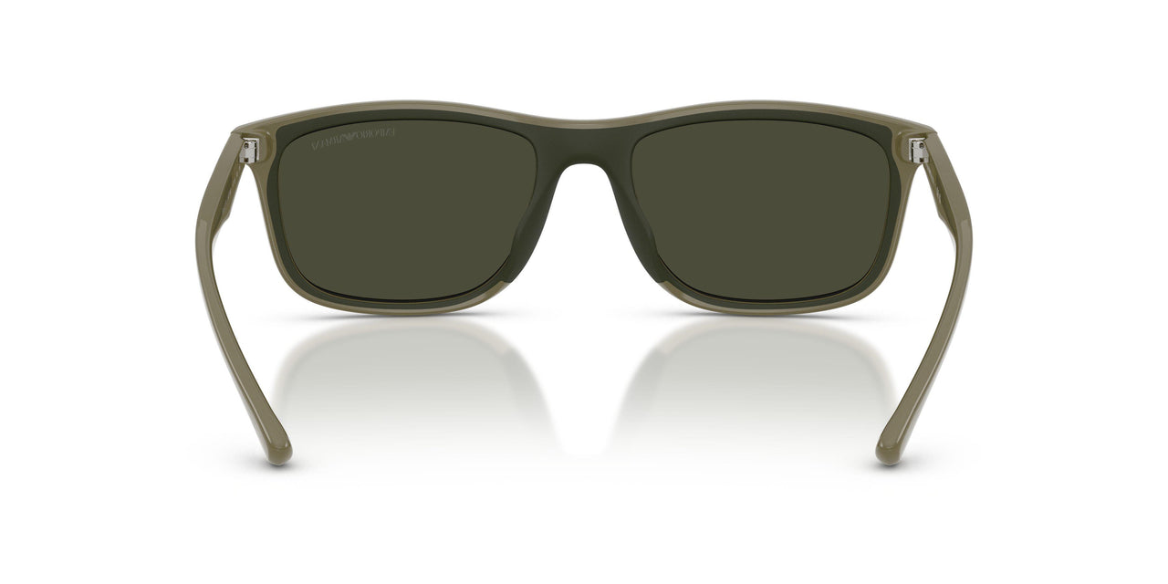543782 - Brown - Dark Green