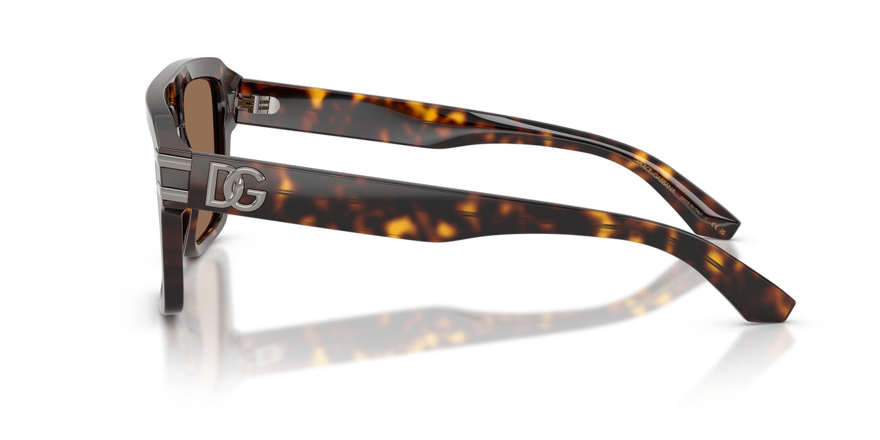 502/73 - Tortoise - Dark Brown