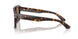 502/73 - Tortoise - Dark Brown