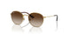 223/13 - Gold - Brown