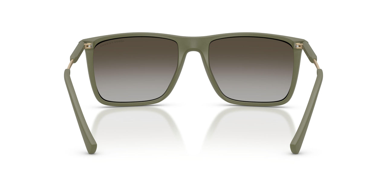 838113 - Green - Gradient Brown