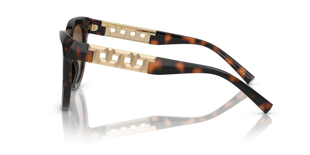 8015T5 - Tortoise - Polar Brown Gradient