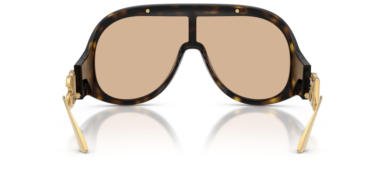 502/93 - Tortoise - Brown