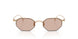 341173 - Gold - Light Brown