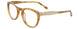 10 - Marbled Brown & Clear/Shiny Gold