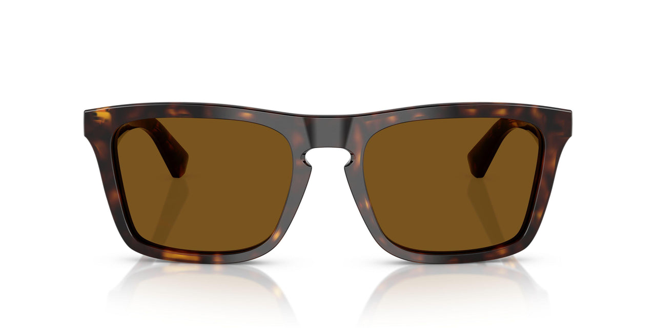 300283 - Brown - Dark Brown Polar