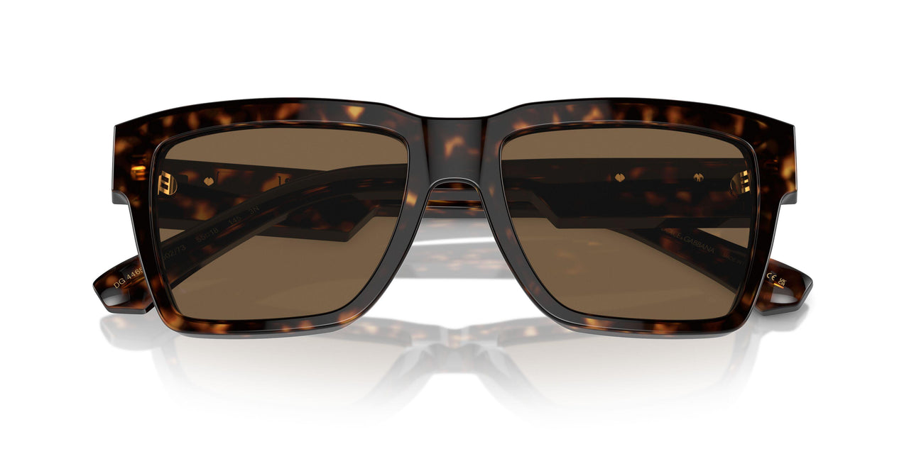 502/73 - Tortoise - Dark Brown