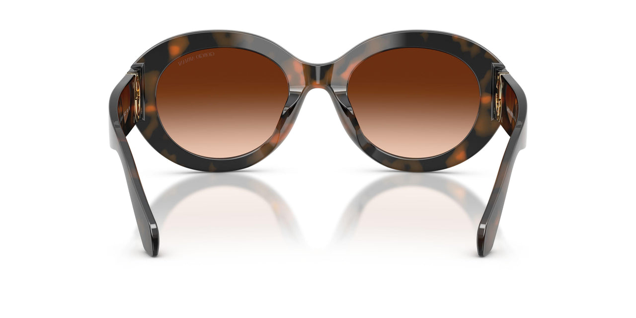 647874 - Tortoise - Brown Gradient