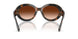 647874 - Tortoise - Brown Gradient
