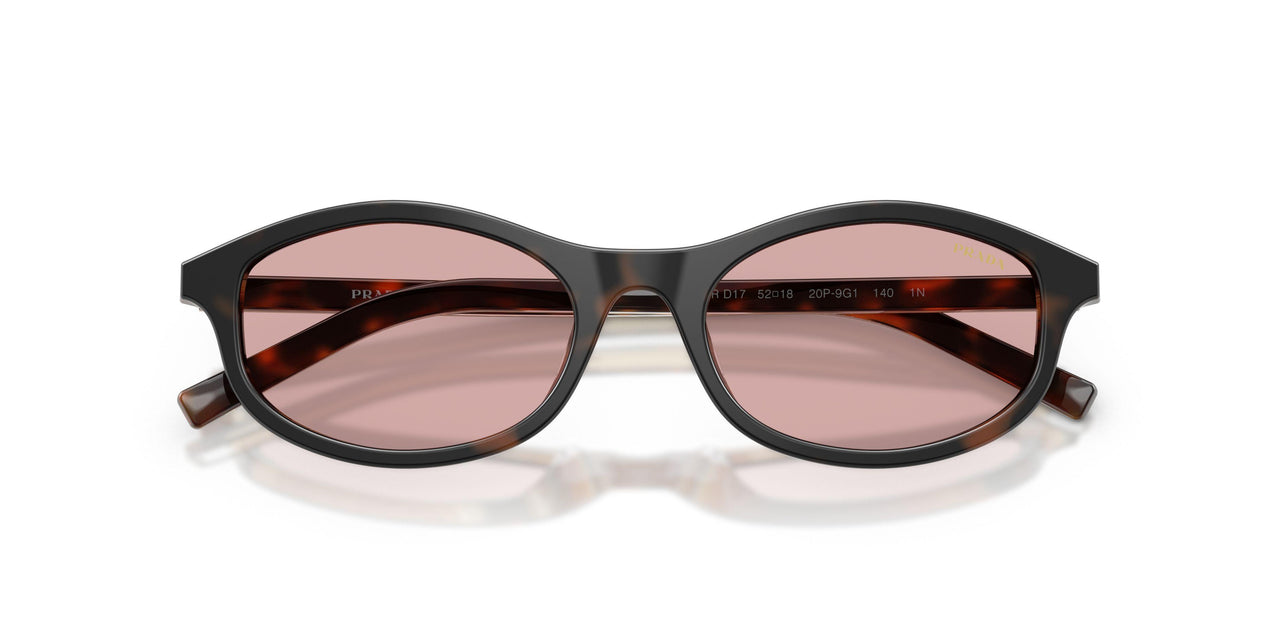 20P9G1 - Tortoise - Light Violet