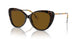 385483 - Brown - Brown Polar