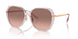 570513 - Pink - Brown Pink Gradient