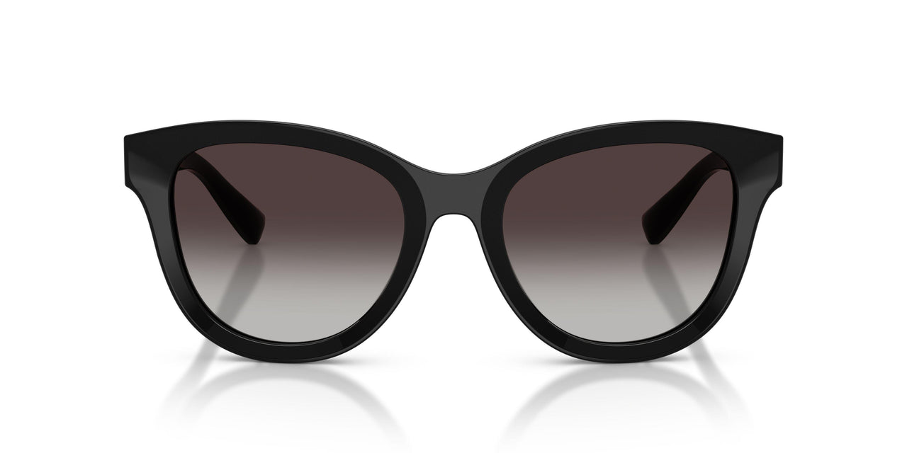 501/8G - Black - Grey Gradient
