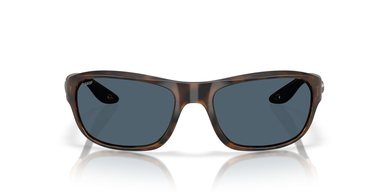 911910 - Tortoise - Gray