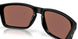 948706 - Black - Prizm Deep Water Polarized