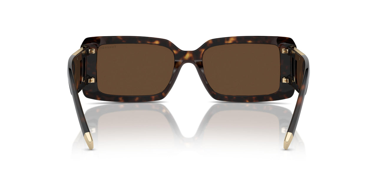 80153G - Tortoise - Light Brown