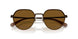 947183 - Brown - Brown Solid Polar