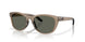 910810 - Brown - Gray
