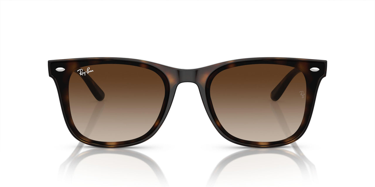 710/13 - Tortoise - Brown