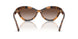 608913 - Tortoise - Gradient Brown