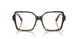 5002 - Tortoise
