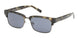 ABERCROMBIE & FITCH 00033 Sunglasses