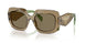 29E90F - Brown - Light Brown