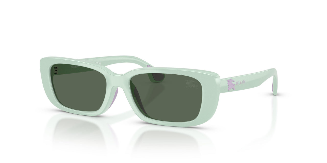 423071 - Green - Dark Green