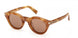 ZEGNA 0302 Sunglasses
