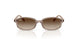 720013 - Brown - Gradient Brown